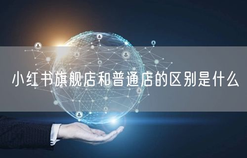 小红书旗舰店和普通店的区别是什么
